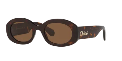 Chloé Woman Sunglass Ch0258s In Brown