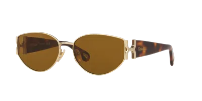 Chloé Woman Sunglass Ch0260s In Brown