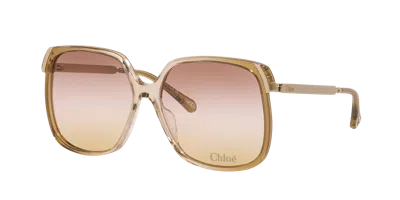 Chloé Woman Sunglass Ch0286s In Brown