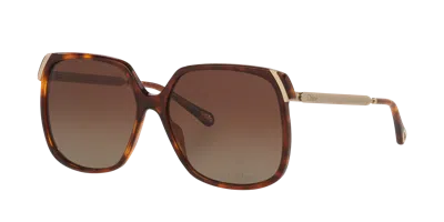 CHLOÉ CHLOÉ WOMAN SUNGLASS CH0286S