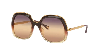 Chloé Woman Sunglass Ch0327s In Brown