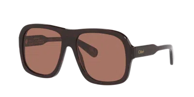 Chloé Woman Sunglass Ch0331s In Brown