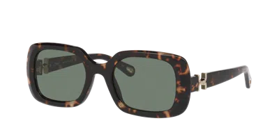 Chloé Woman Sunglass Ch0333s In Brown