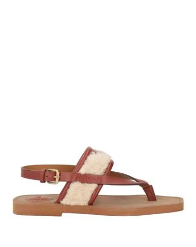 Chloé Woman Thong Sandal Tan Size 6 Leather In Multi