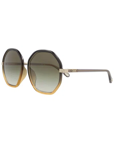 Chloé Chloe Women's 59mm Sunglasses In Green