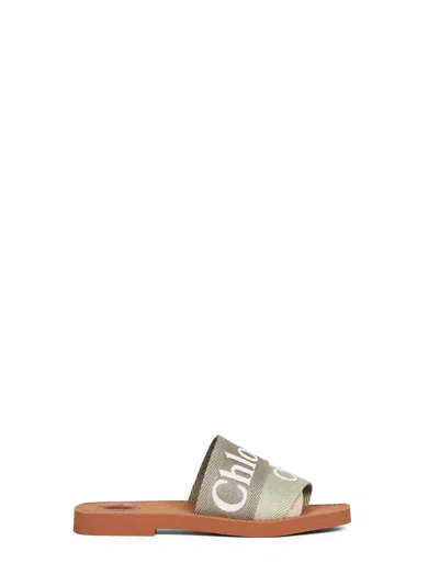 Chloé Women Aloe Green Woody Flat Sandals<br/> In Multi
