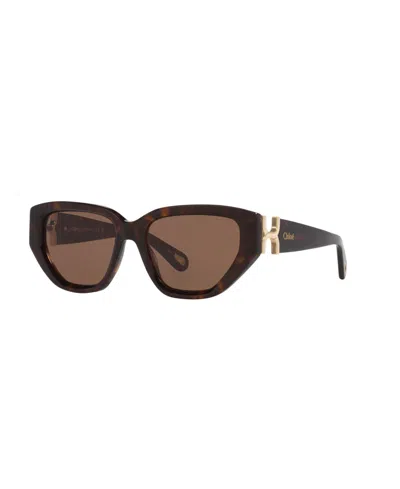 Chloé Women's Cat Eye Sunglasses, Ch0235s 6n000529 In Brown