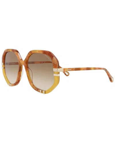 Chloé Women's Ch0105s 55mm Sunglasses