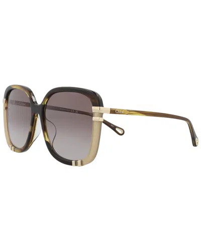 Chloé Women's Ch0106sa-30012791-006 59mm Sunglasses In Brown