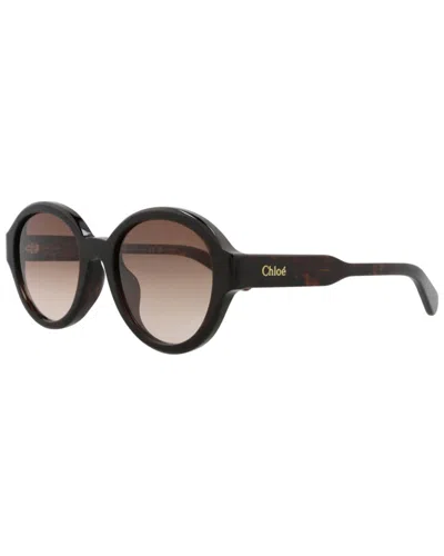 Chloé Women's Ch0156sk 54mm Sunglasses In Brown