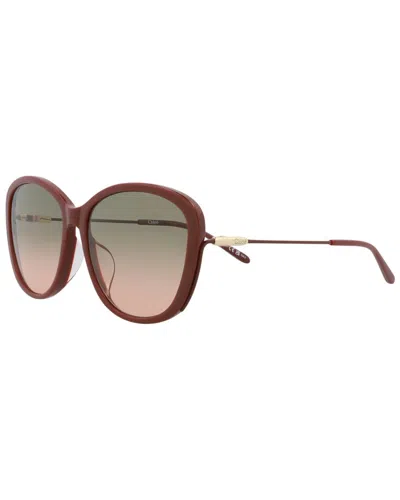 Chloé Women's Ch0175sk-30014202-004 59mm Sunglasses