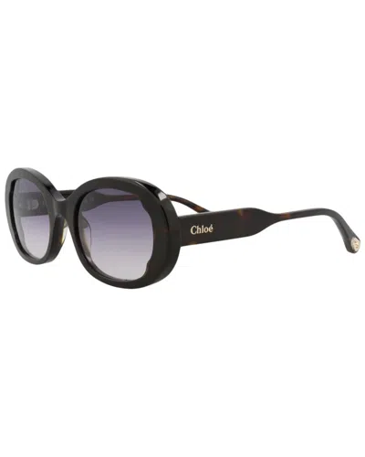 Chloé Women's Ch0197s 53mm Sunglasses In Brown