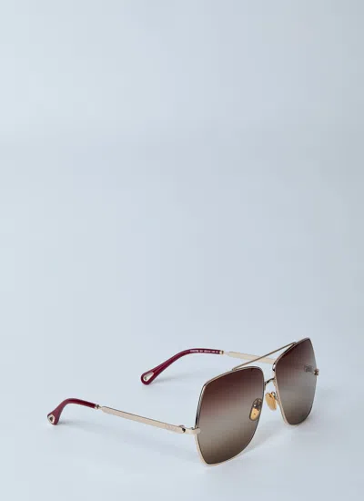 Chloé Women Ch0278s Sunglasses In Brown