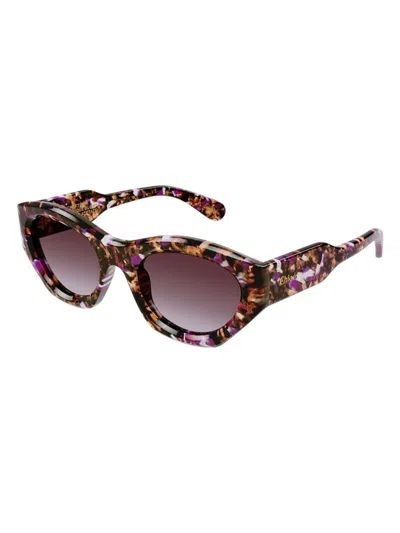 Chloé Women's Chloã© Ch0220s 005 Sunglasses In Havana