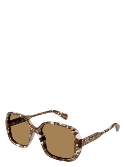 CHLOÉ WOMEN'S CHLOÃ© CH0222S 005 SUNGLASSES