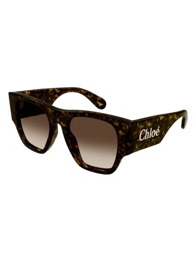 CHLOÉ WOMEN'S CHLOÃ© CH0233S 002 SUNGLASSES