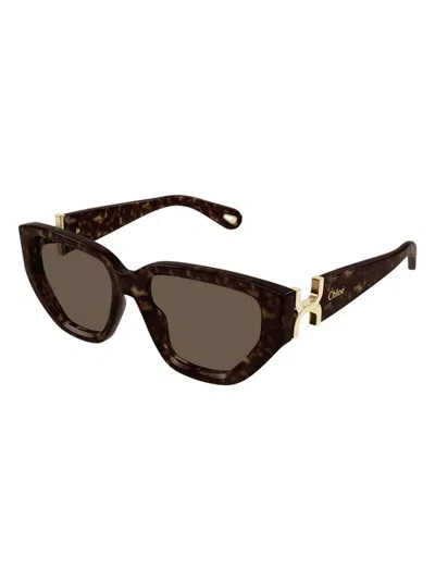 Chloé Women's Chloã© Ch0235s 002 Sunglasses In Havana