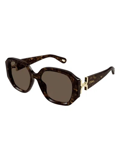Chloé Women's Chloã© Ch0236s 002 Sunglasses In Havana