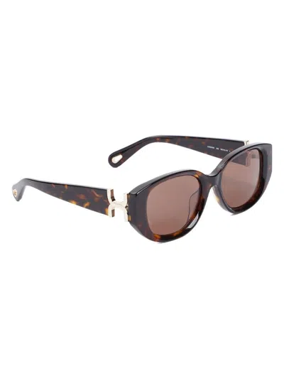 Chloé Women's Chloã© Ch0237sk 002 Sunglasses In Havana