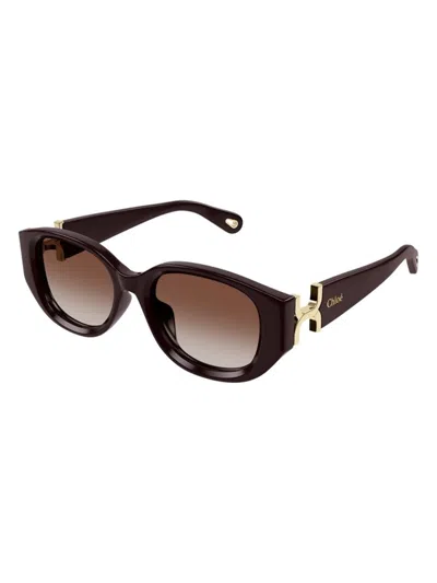 Chloé Women's Chloã© Ch0237sk 003 Sunglasses In Garnet
