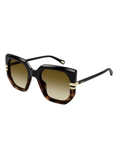 Chloé Womens Ch0240s Square-frame Acetate Sunglasses Black In 003 Black Black Brown