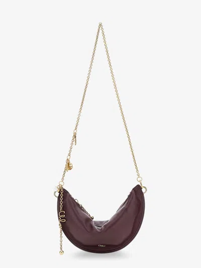 Chloé Chloe' Women Chloe Icons Leather Shoulder Bag In Multi