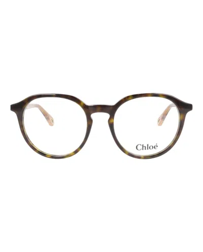 Pre-owned Chloé Women's Chloe Roundframe Bio Acetate Optical Frames In Havana Brown Transparent (ch0012o/30009838/00