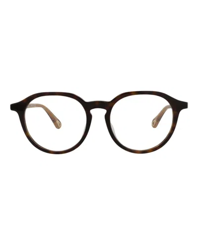 Pre-owned Chloé Women's Chloe Roundframe Bio Acetate Optical Frames In Havana Brown Transparent (ch0012oa/30009959/0