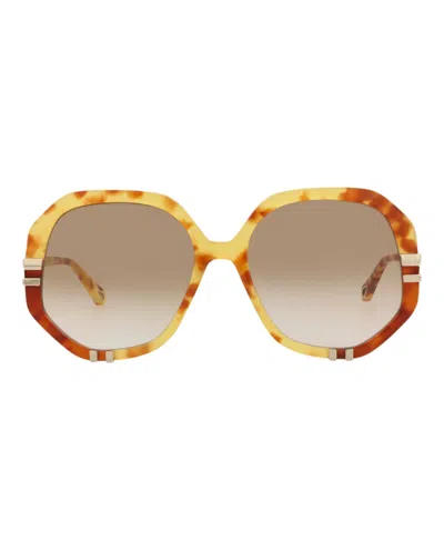 Pre-owned Chloé Women's Chloe Roundframe Bio Acetate Sunglasses In Havana Havana Brown (ch0105s/30012761/001)