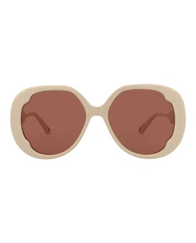 Pre-owned Chloé Women's Chloe Roundframe Recycled Acetate Sunglasses In Ivory Ivory Brown (ch0195s/30014680/005)