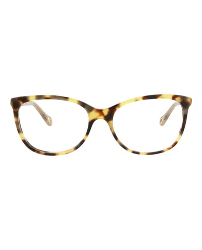 Pre-owned Chloé Women's Chloe Squareframe Bio Acetate Optical Frames In Havana Brown Transparent (ch0013o/30009835/0