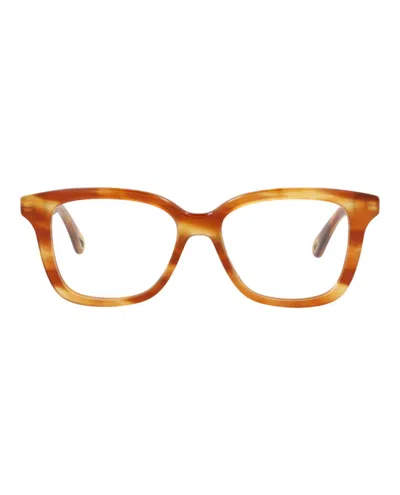 Pre-owned Chloé Women's Chloe Squareframe Bio Acetate Optical Frames In Havana Havana Transparent (ch0090o/30012411/