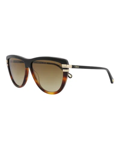 Pre-owned Chloé Women's Chloe Squareframe Recycled Acetate Sunglasses In Black Black Brown (ch0203s/30014676/003)