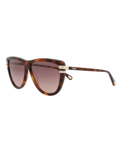 Pre-owned Chloé Women's Chloe Squareframe Recycled Acetate Sunglasses In Havana Havana Red (ch0203s/30014676/002)