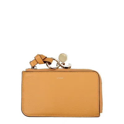 Chloé Women's Coin Pocket Leather Orange/apricot In Brown