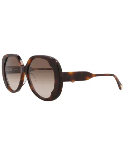 Chloé Women's Core 56mm Sunglasses