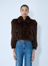 Chloé Leopard Print Faux Fur Cropped Jacket In Brown