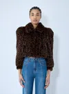 Chloé Leopard Print Faux Fur Cropped Jacket In Brown