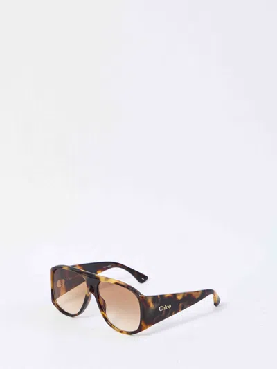 CHLOÉ CHLOE WOMEN HAVANA SUNGLASSES