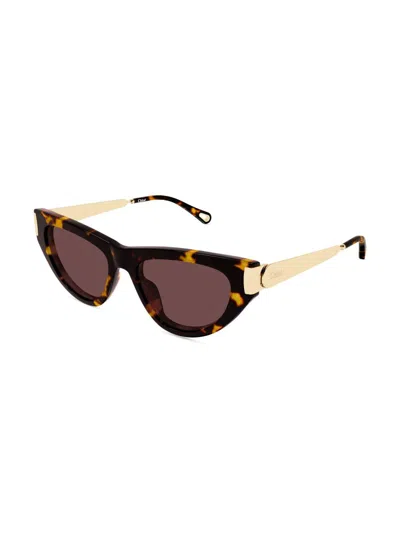 CHLOÉ WOMEN'S HOLLY COMBI 54MM CAT-EYE SUNGLASSES