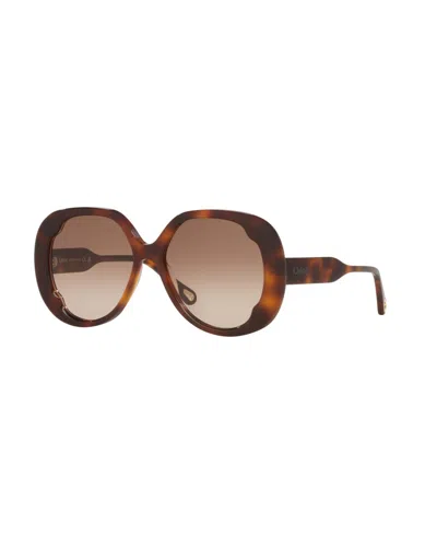Chloé Women's Large Sunglasses, Ch0195s 6n000509 In Tortoise
