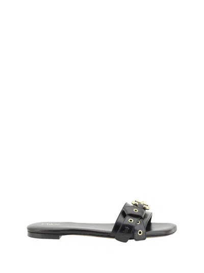 Chloé Mae Buckle-embellished Leather Flip Flops In Black
