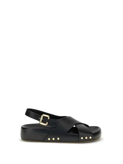 Chloé Women Mae Sandals In Black
