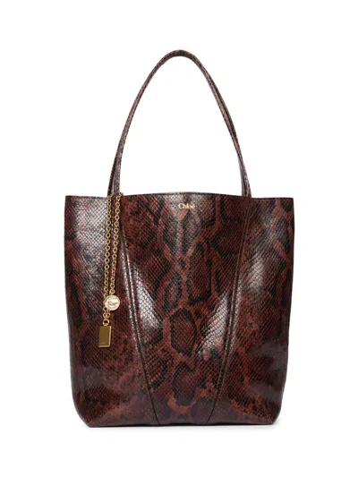 Chloé Women's Medium Spin Python-embossed Leather Tote Bag In Brown