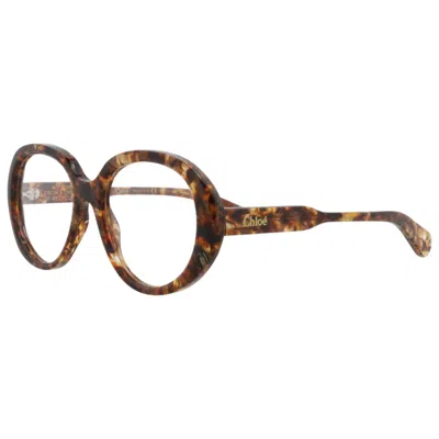 Chloé Women's Opticals In Multi