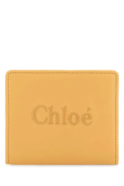 Chloé Chloe Women Peach Leather Wallet In Pink