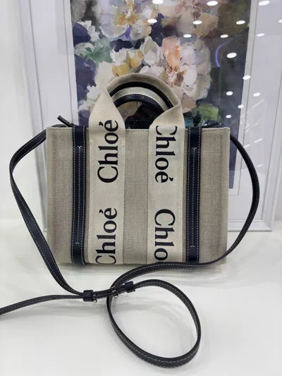 Chloé Chloe Women Pre-loved Bag Very Good Condition In Multi