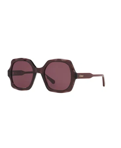 Chloé Womens Purple Ch0226s Square-frame Acetate Sunglasses In Brown-brown-copper