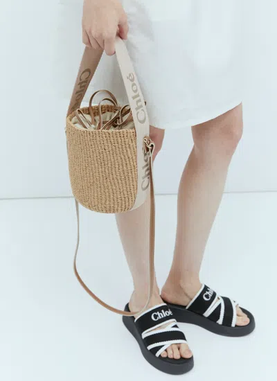 Chloé Small Woody Basket Bag In Cream