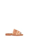 Chloé Women Softy Brown Suede Woody Mules In Multi